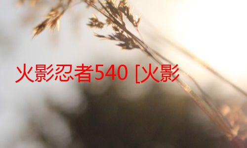 火影忍者540 [火影忍者540集往后介绍]